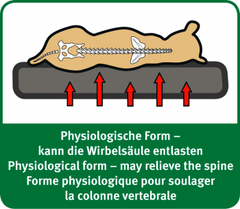 Preview: Karlie Liegekissen Ortho Bed Mini Preview: Karlie Liegekissen Ortho Bed Mini