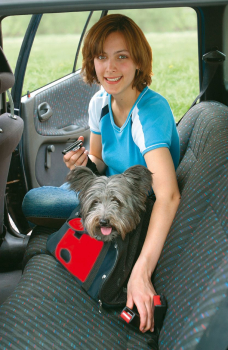 Preview: Karlie Tragetasche Smart Bag Preview: Karlie Tragetasche Smart Bag