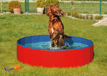 Preview: Karlie Doggy Pool Preview: Karlie Doggy Pool
