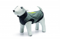 Preview: Beeztees Hundemantel Allia grau