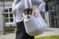 Preview: Karlie Beeztees Puppy Tragetasche Wolly