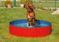 Preview: Karlie Doggy Pool
