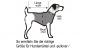Preview: Beeztees Hundemantel Allia grau
