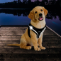 Preview: Topmast Hundegeschirr Airmesh