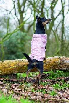 Karlie Sweater Haida pink designed by Lotte