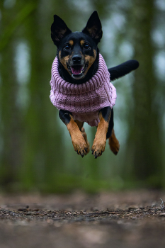 Karlie Sweater Haida pink designed by Lotte