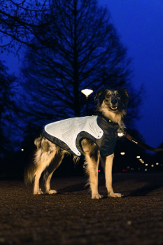 Beeztees Hundemantel Allia grau