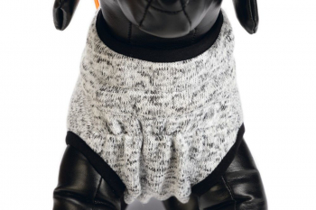 Beeztees Hundepullover Celia