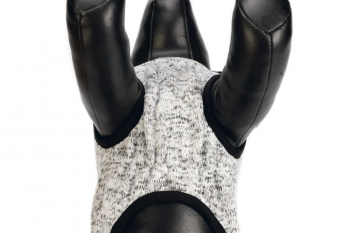 Beeztees Hundepullover Celia