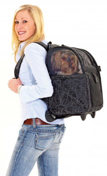 Preview: Karlie Smart Trolley City