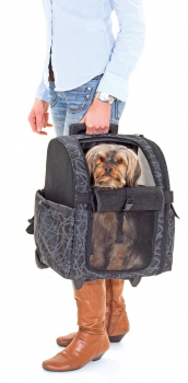 Preview: Karlie Smart Trolley City