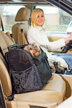 Karlie Smart Trolley City