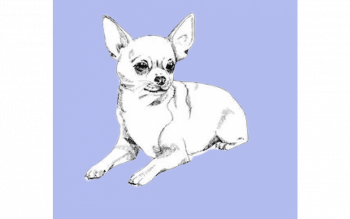 Vet Bed Silhouet Chihuahua