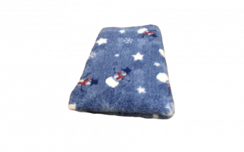 Weihnachtsmotiv Schneemann Frosty