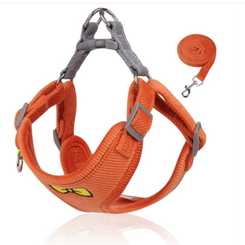 Weiches Plüsch-Hundegeschirr + Leine - Komfort - orange