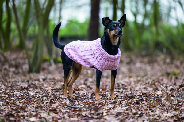 Karlie Sweater Haida pink designed by Lotte