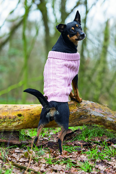 Karlie Sweater Haida pink designed by Lotte