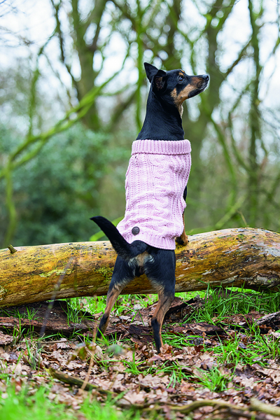 Karlie Sweater Haida pink designed by Lotte