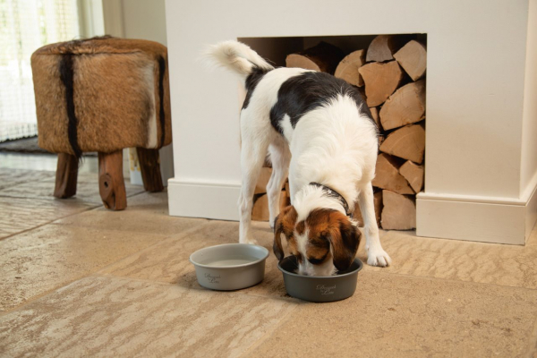 Hundenapf Feribo designed by Lotte