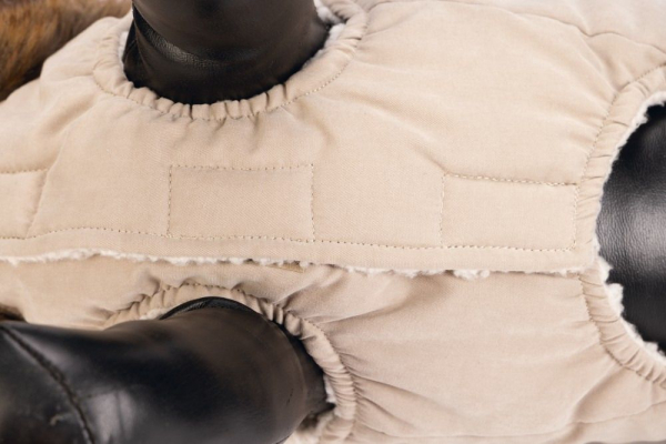 Karlie Hundemantel Philos designed by Lotte