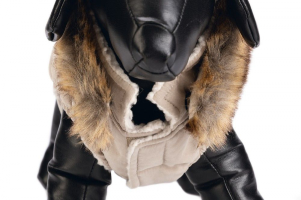 Karlie Hundemantel Philos designed by Lotte