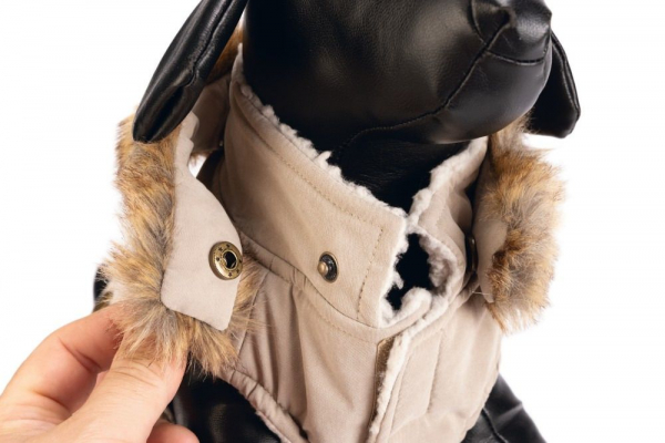 Karlie Hundemantel Philos designed by Lotte