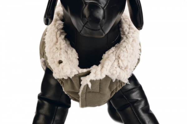 Karlie Hundemantel Philos designed by Lotte