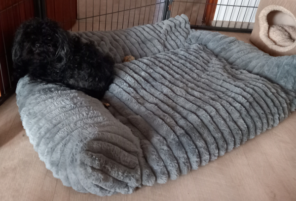 Topmast Hunde Sofa gerippter Plüsch