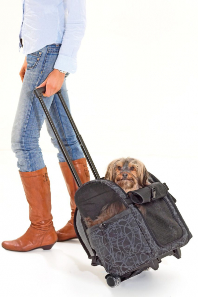 Karlie Smart Trolley City