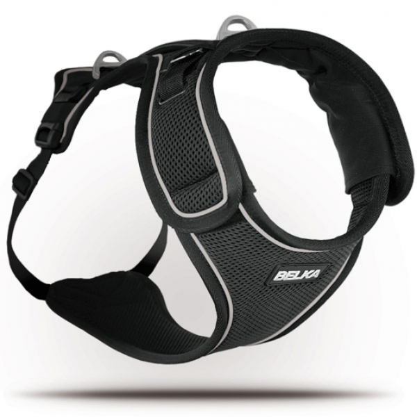 Curli Belka Geschirr