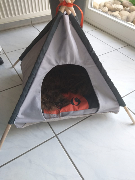 Beeztees Tipi Tent