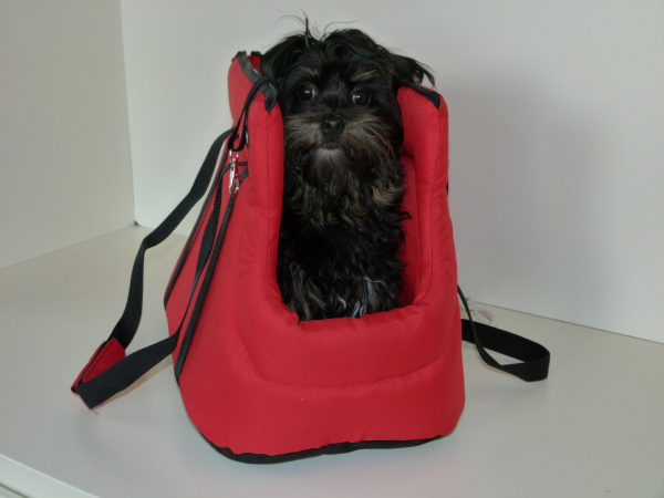 Tragetasche für Hunde