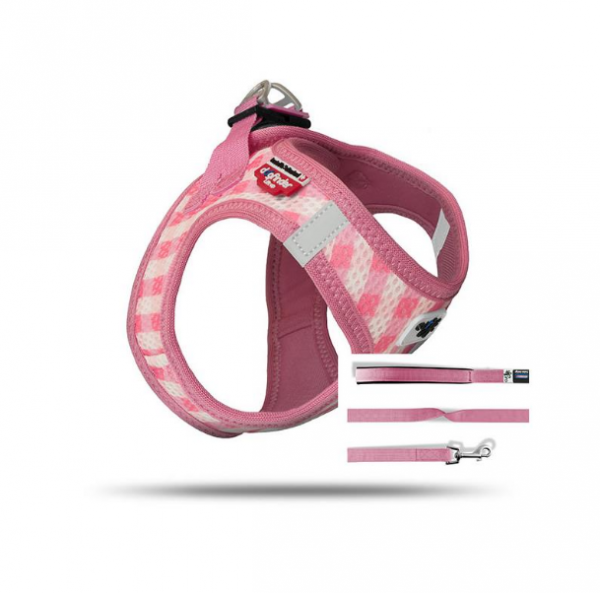 Curli Vest Geschirr Puppy Set