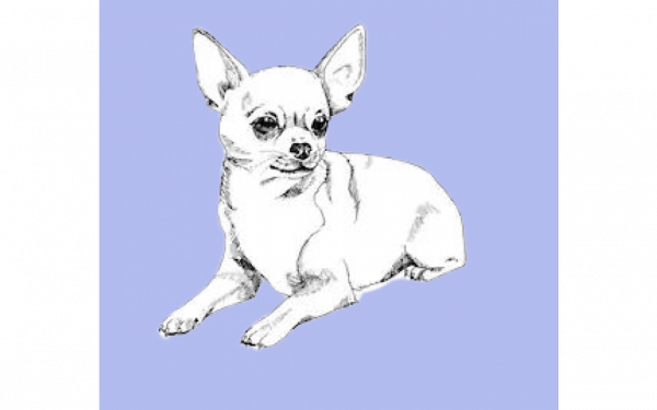 Vet Bed Silhouet Chihuahua