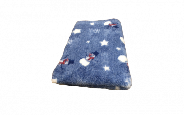 Weihnachtsmotiv Schneemann Frosty