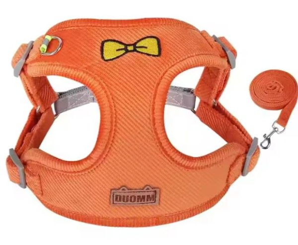 Weiches Plüsch-Hundegeschirr + Leine - Komfort - orange